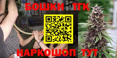 индика Абакан