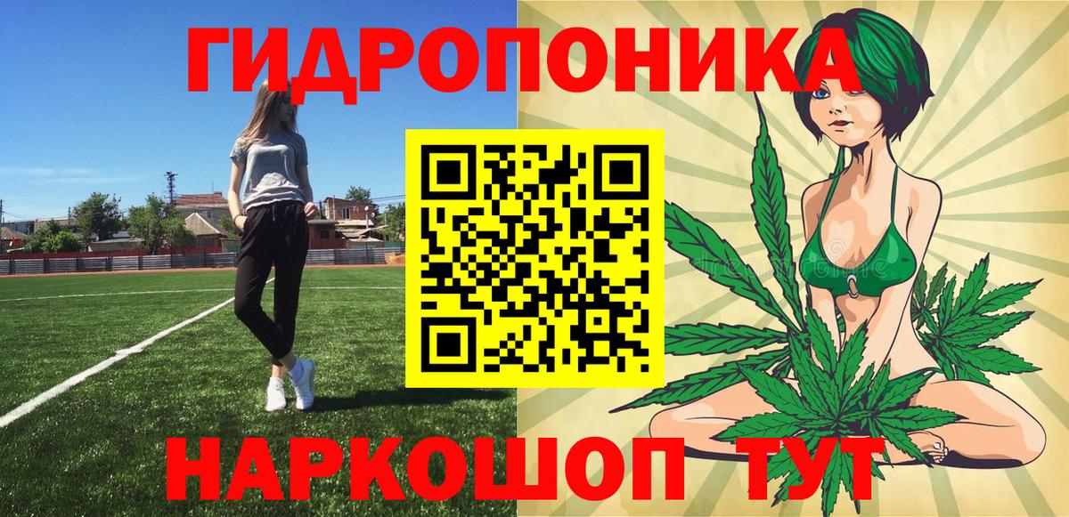 Конопля сатива Балабаново